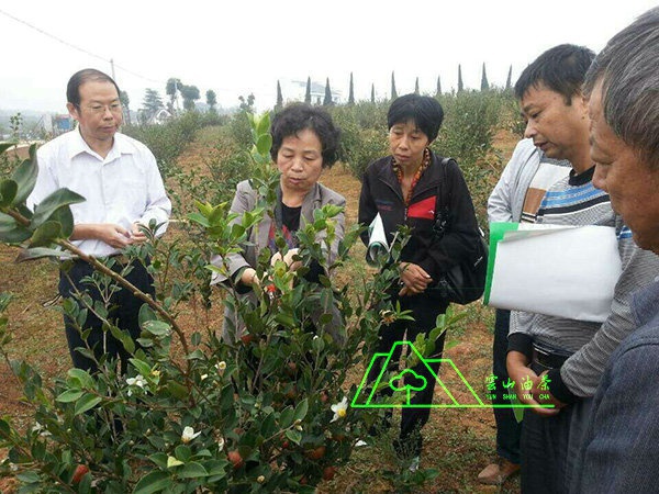 江西農(nóng)業(yè)大學(xué)郭曉敏基地指導(dǎo)工作